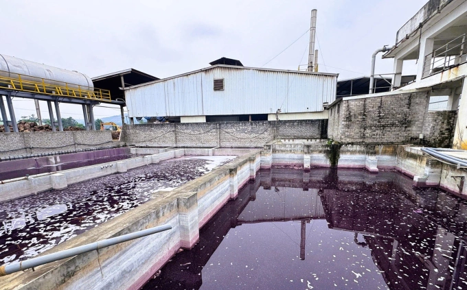 Nguồn nước thải có màu khác thường trong bể thu gom của Công ty BOB Hà Nội tại xã Thạch Quảng. Ảnh: Lam Sơn