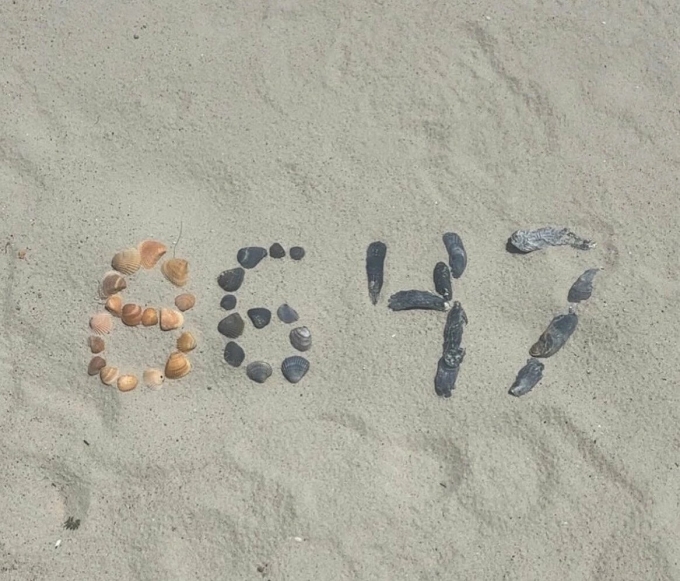 Ảnh dãy số 8647 được xếp bằng vỏ sò mà cựu giám đốc FBI James Comey đăng trên mạng xã hội năm 2025. Ảnh: Instagram/James Comey