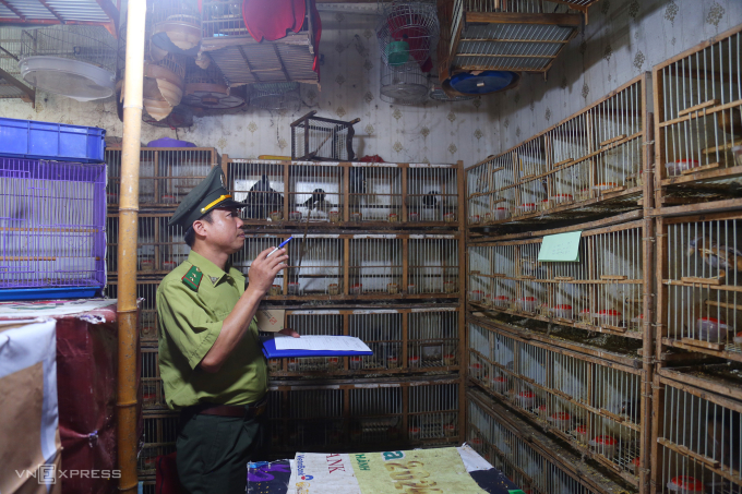 Kiểm lâm kiểm tra hành chính và phát hiện vi phạm tại một cửa hàng chim cảnh ở Hà Nội. Ảnh: Phạm Dự