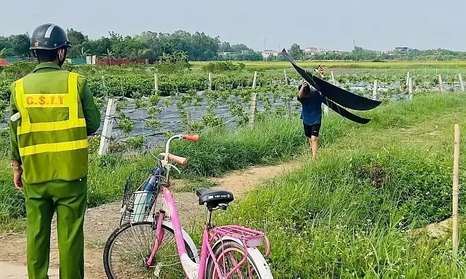 Liên tiếp xuất hiện diều, UAV gần sân bay Nội Bài