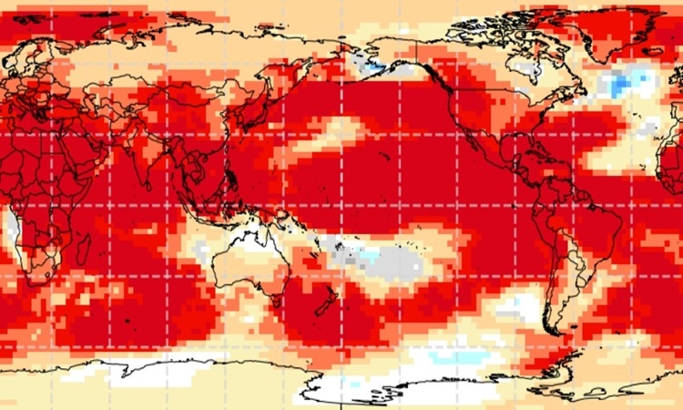 Dấu hiệu El Nino mạnh nhất diễn ra trong năm nay VNECap 1780891433 1846 1780891466