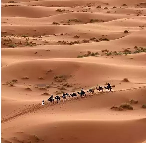 Bí ẩn trục quay Trái Đất biến Sahara thành hoang mạc episode artwork