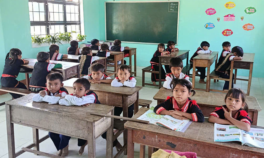 Remote schools in Gia Lai struggle without basic toilet facilities