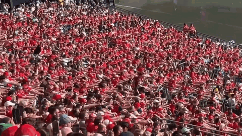 CĐV Na Uy tái hiện hình ảnh chèo thuyền Viking trên khán đài World Cup