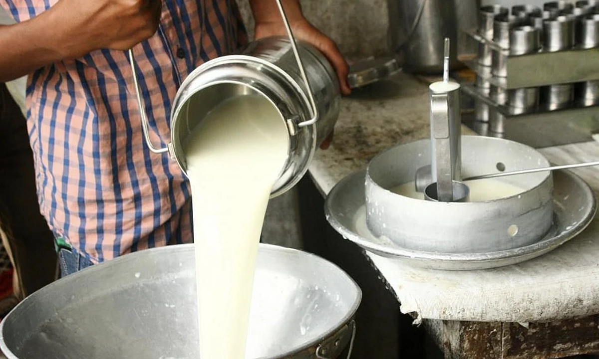 Nước châu Á nào sản xuất nhiều sữa nhất thế giới?