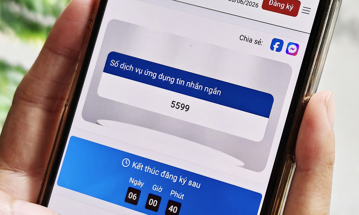 Hai mã, số viễn thông được đưa ra đấu giá