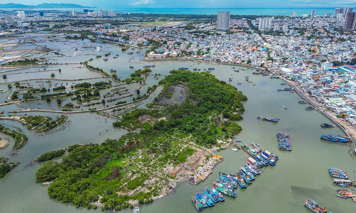 Nơi xây đường vượt biển Cần Giờ - Vũng Tàu trước ngày khởi công