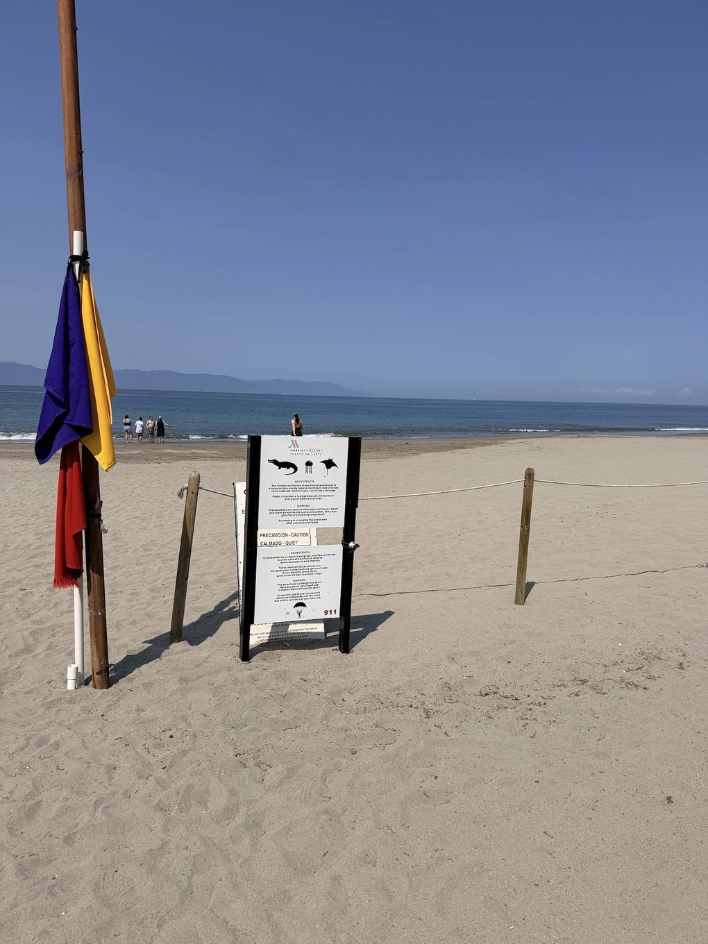 Biển cảnh báo cá sấu, cá đuối và sứa tại bãi biển Puerto Vallarta. Ảnh: NBC News