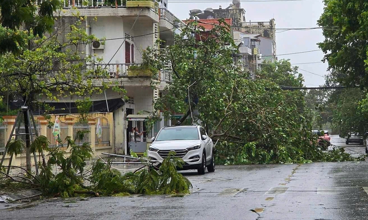 Bão Maysak đổ bộ vào Móng Cái