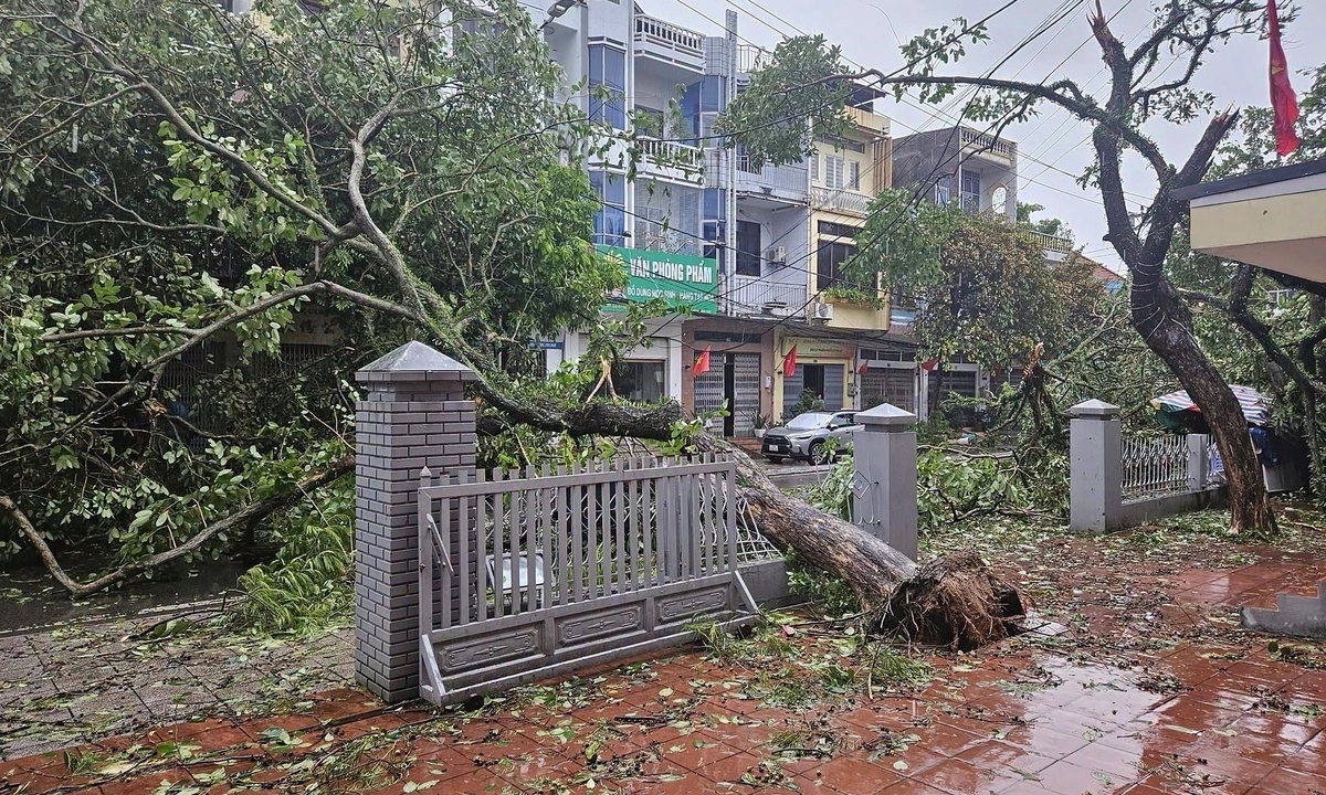 Bão vào Trung Quốc, miền Bắc tiếp tục mưa