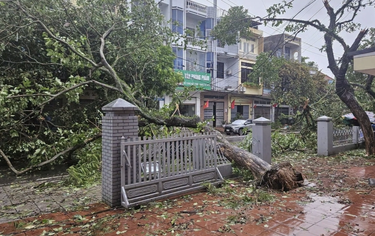 Móng Cái ngổn ngang sau bão Maysak