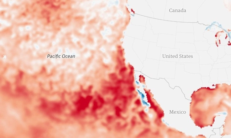 Sóng nhiệt ngoài khơi phía tây nước Mỹ. Ảnh: NOAA