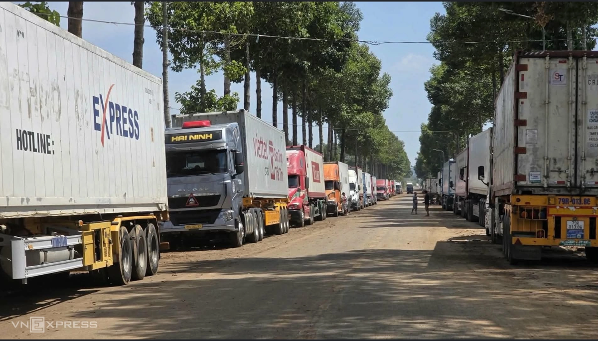 Lương tài xế container 50 triệu đồng 'không thấm vào đâu'