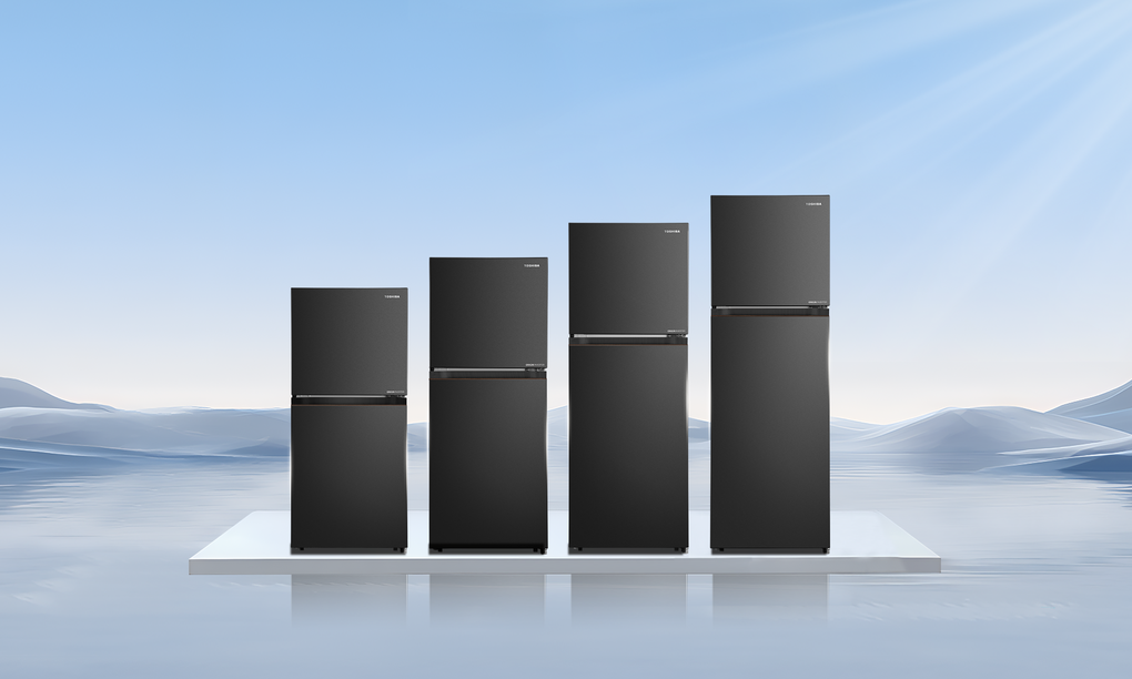The cabinet line includes 4 capacities from 182 to 271 liters, suitable for many different needs. Photo: Toshiba