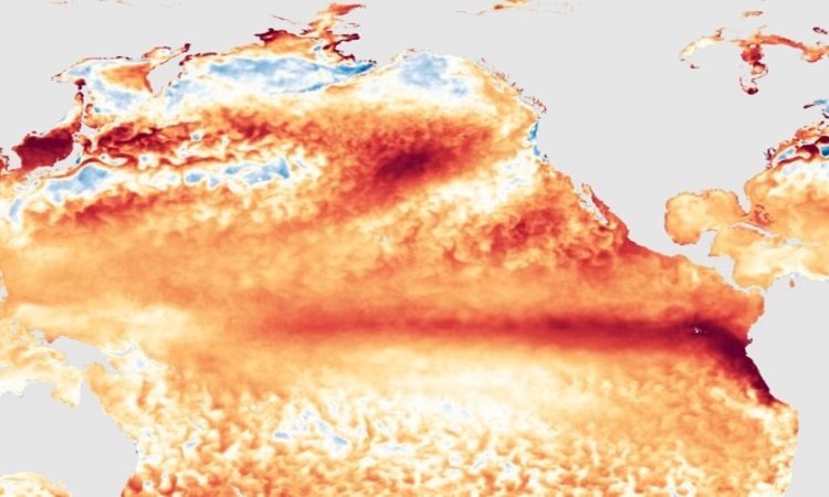 Nhiệt độ mặt biển cao bất thường trong nửa đầu tháng 6. Ảnh: NOAA