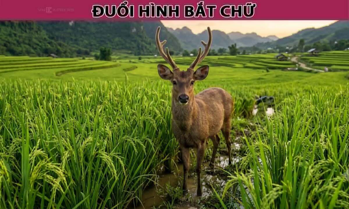 Đây là thành phố nào của nước ta?