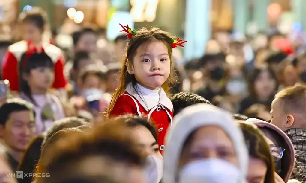 Khi nào dân số Việt Nam ngừng tăng?