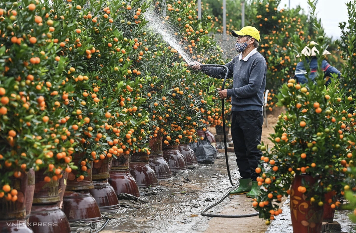 Hai phương án nghỉ Tết Đinh Mùi