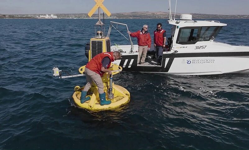 Sensors attached to floating buoys provide real-time water quality data. Photo: CSIRO