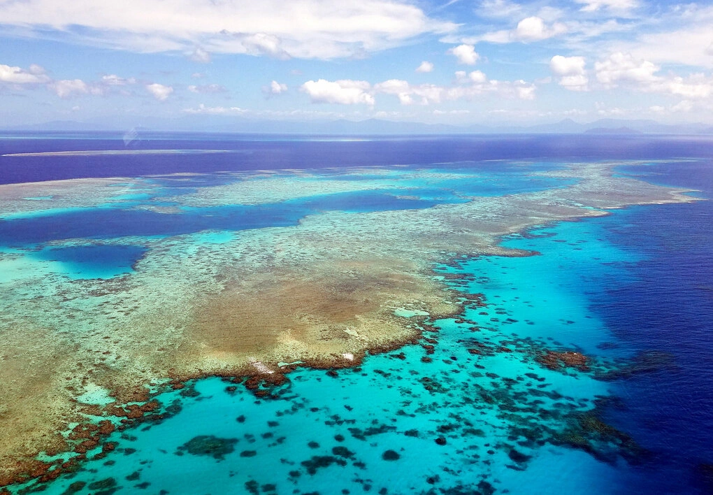Great Barrier Reef in the Coral Sea, off the coast of Queensland, Australia, 2018. Photo: AFP