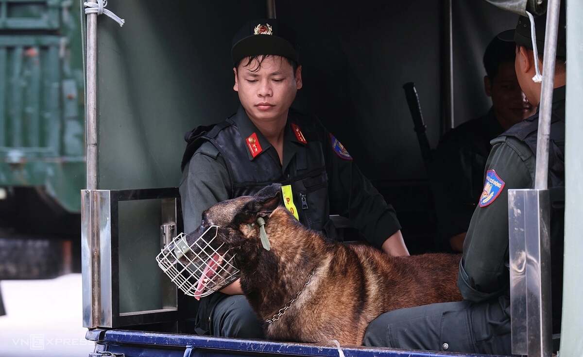 Điểm tin 17h: Chợ Biên Hòa cháy do chập điện | Chó nghiệp vụ hỗ trợ an ninh ở chuyên Tuyên Quang