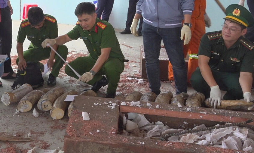 1,2 tấn ngà voi giấu trong các khúc gỗ từ châu Phi về Gia Lai