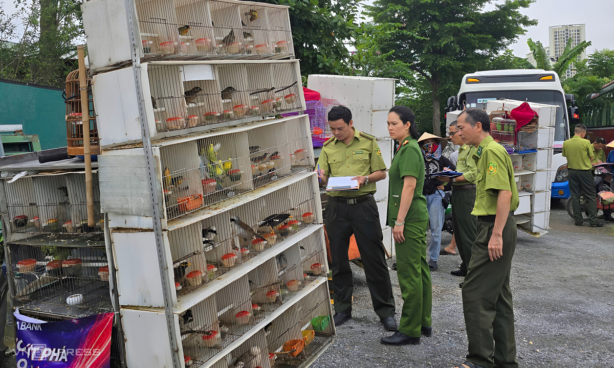 15 xe bán hơn 1.000 chim trời ở chợ phiên tự phát bị kiểm tra bất ngờ
