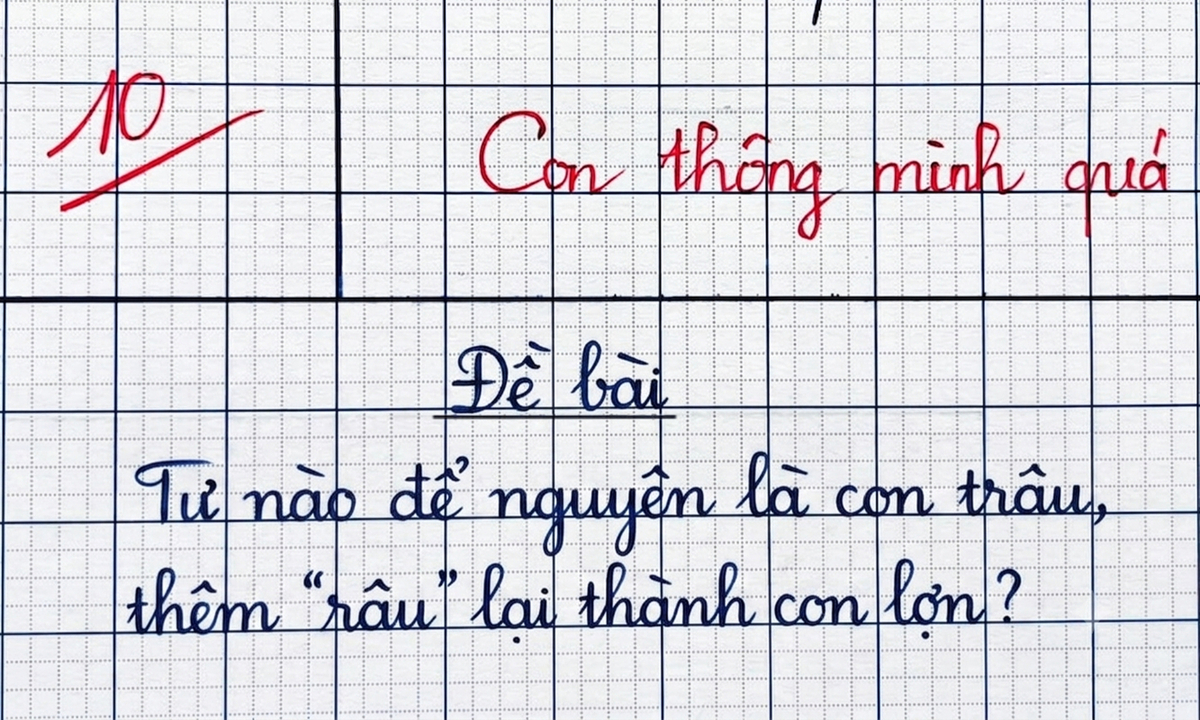 Từ nào để nguyên là con trâu, thêm 'râu' lại thành con lợn?