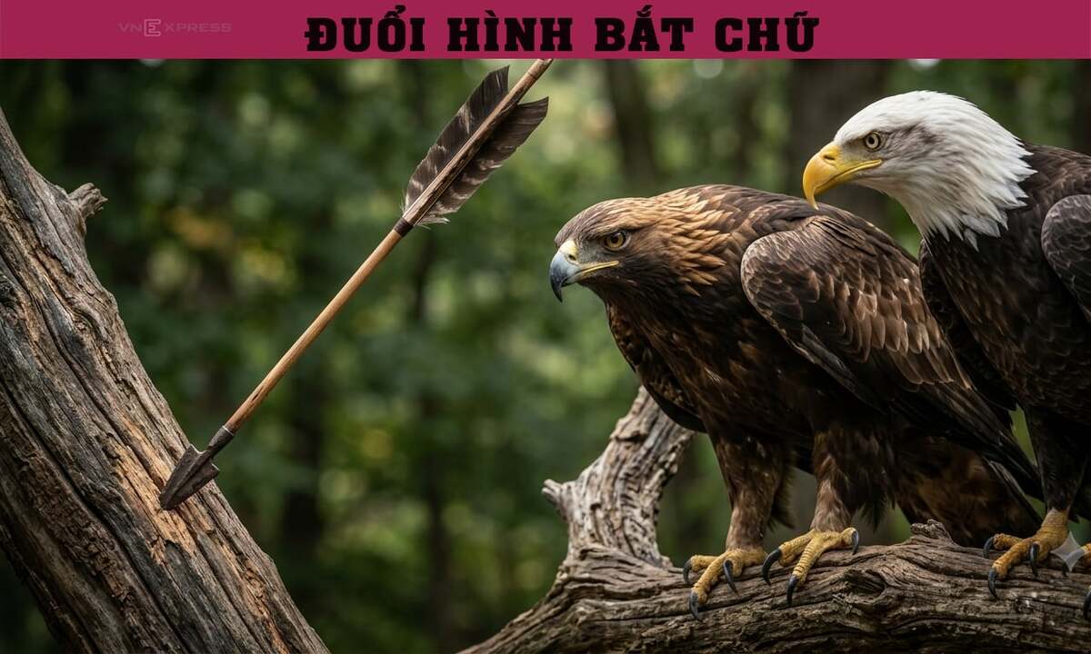 Đuổi hình bắt chữ: Đây là cụm từ nào?