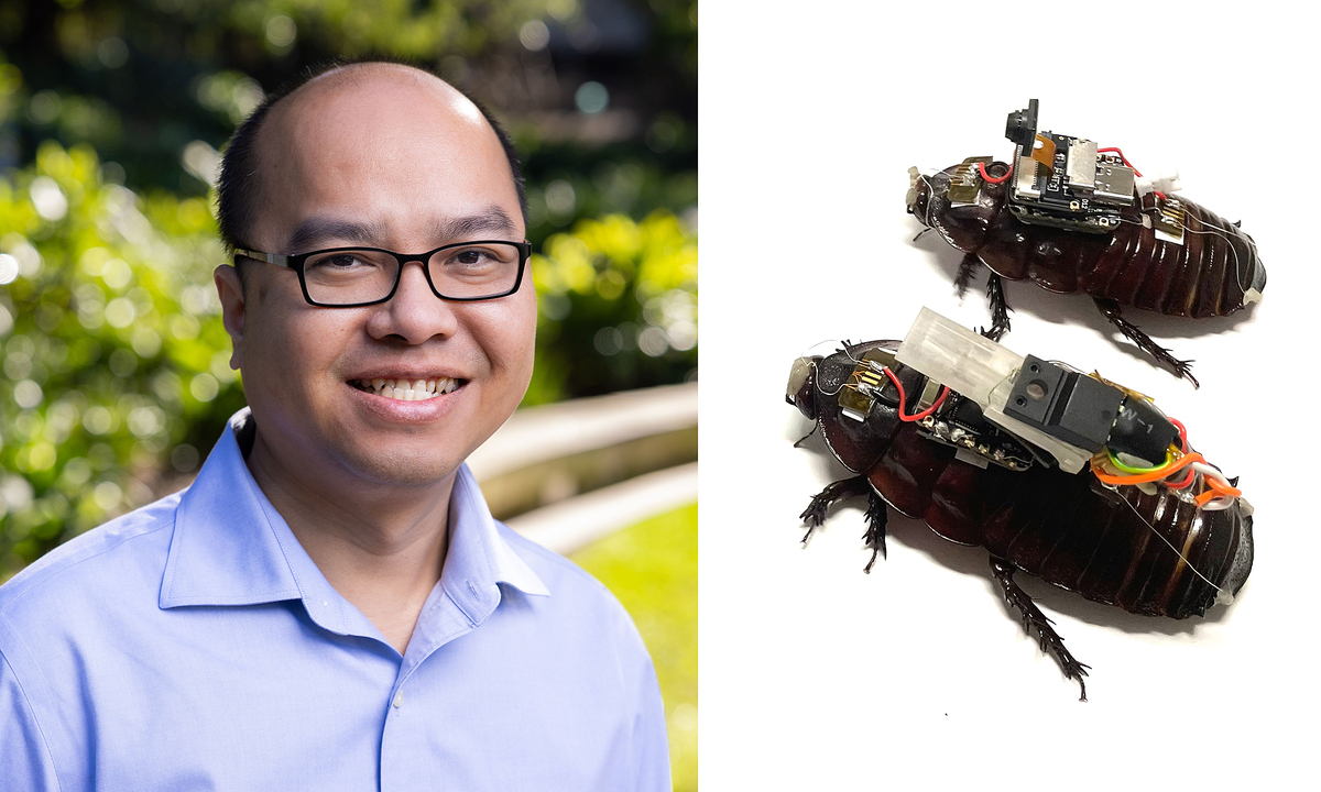 Nhóm nhà khoa học Việt biến gián thành 'cyborg' cứu hộ