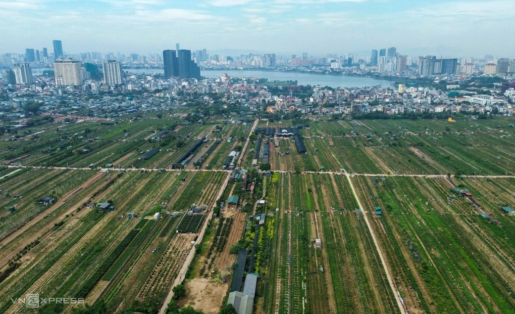 Đất trồng trọt ngoài đê sông Hồng, nhìn từ phía sông về Hồ Tây. Ảnh: Phạm Chiểu