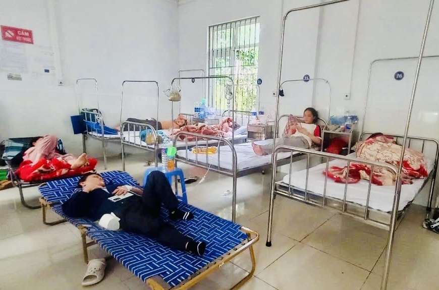 Khuẩn Salmonella khiến 254 người Gia Lai ngộ độc sau ăn bánh mì