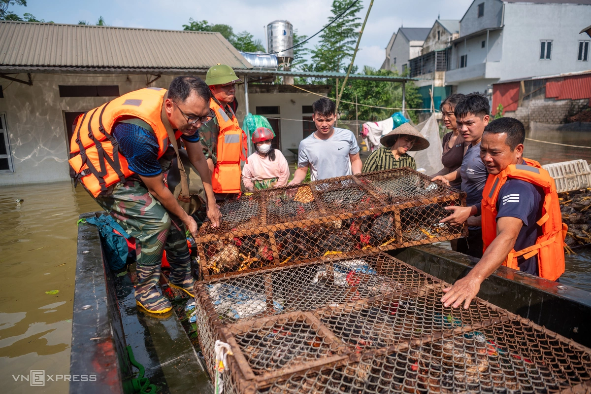 Biển nước bủa vây vùng trũng ngoại thành Hà Nội