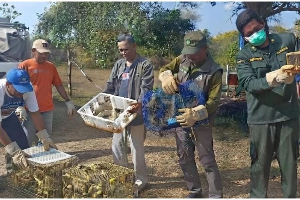 Cơ quan chức năng Indonesia ngăn chặn một vụ buôn lậu tại cảng Gilimanuk, Jembrana, Bali vào ngày 3/8. Ảnh: Jakarta Post