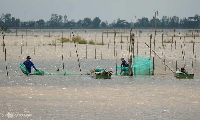 Mekong Delta floods unlock seasonal fishing opportunities for rural communities