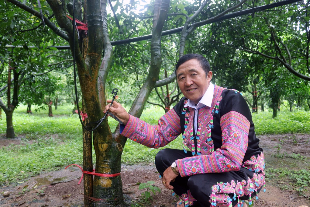 Ông Hoàng A Sở áp dụng công nghệ vào chăm sóc cây. Ảnh: Phạm Hoài