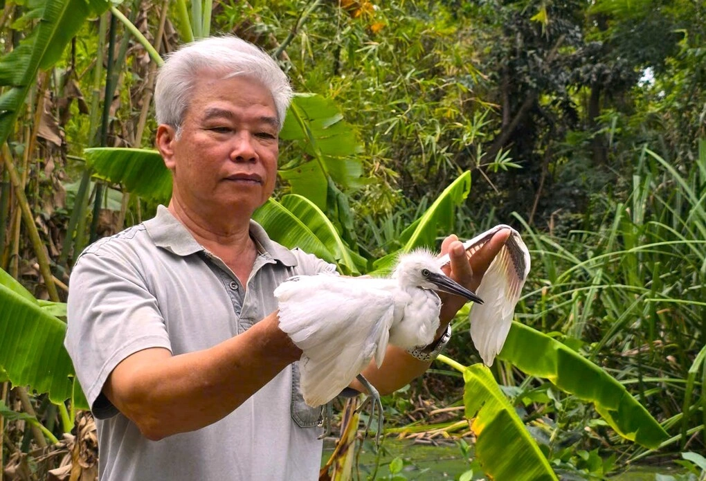 Người đàn ông hơn 30 năm giữ đất cho chim trời